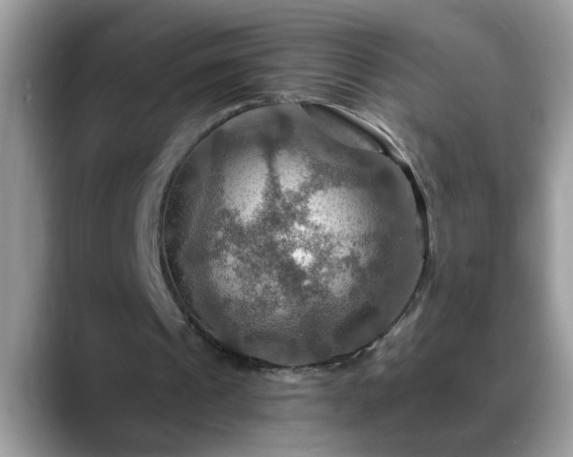 X0000088750241200706071726