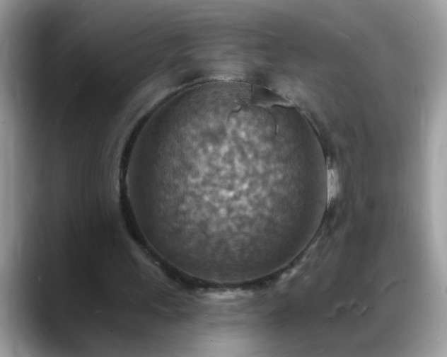X0000088750243200706071726