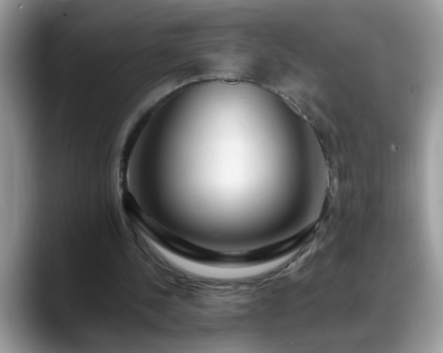 X0000088750244200706071726