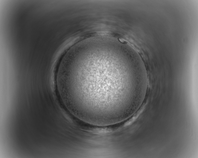 X0000088750245200706071726