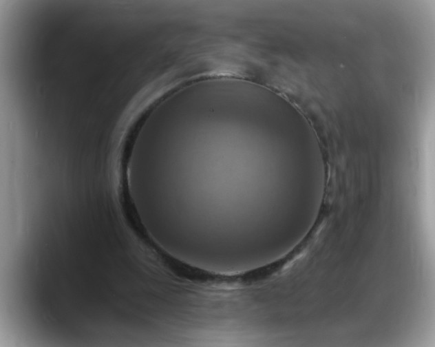 X0000088750247200706071726