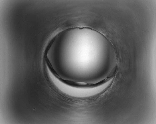 X0000088750248200706071726