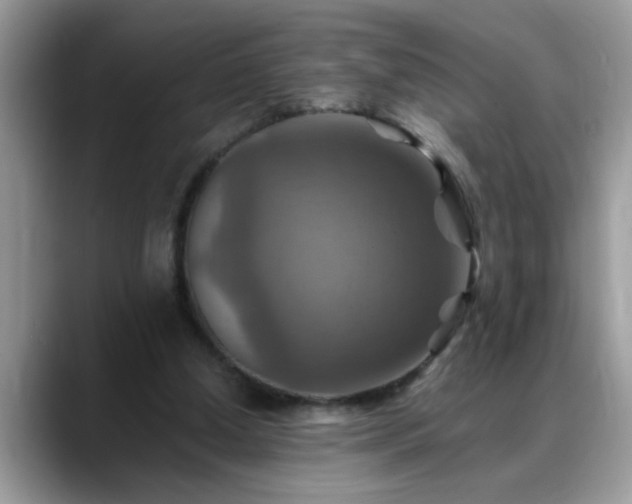 X0000088750250200706071726