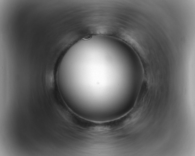 X0000088750251200706071726