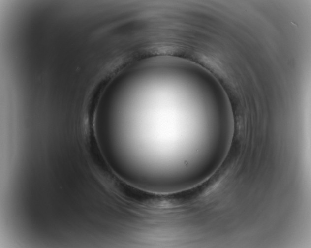 X0000088750254200706071726