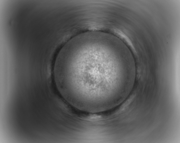 X0000088750257200706071726