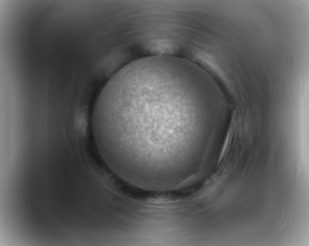 X0000088750259200706071726