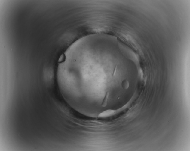 X0000088750260200706071726