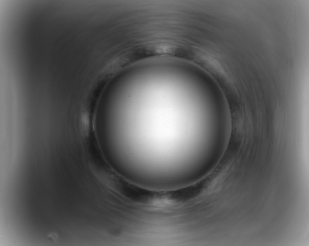X0000088750262200706071726