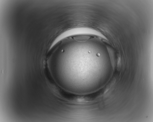 X0000088750264200706071726