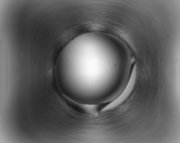 X0000088750265200706071726
