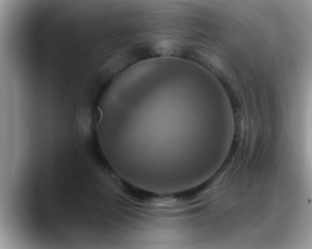 X0000088750266200706071726