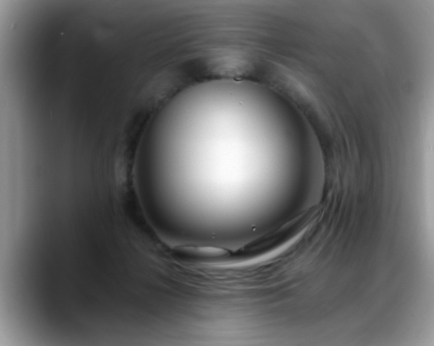 X0000088750268200706071726
