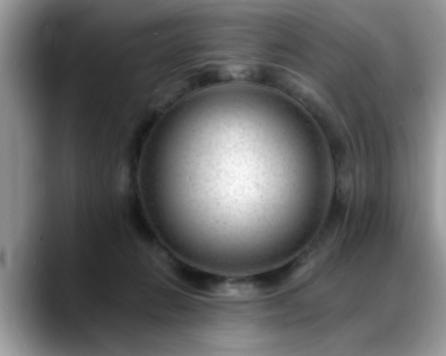X0000088750270200706071726