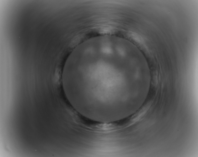 X0000088750273200706071726