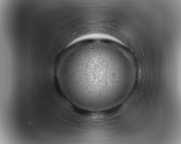 X0000088750275200706071726