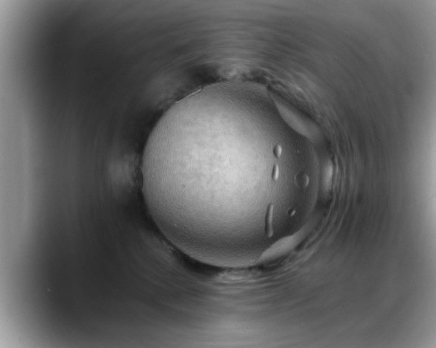 X0000088750280200706071726