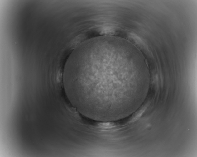 X0000088750281200706071726