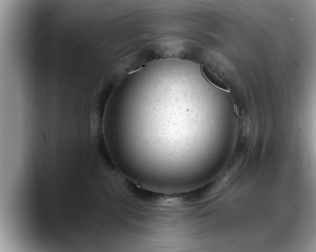 X0000088750283200706071726