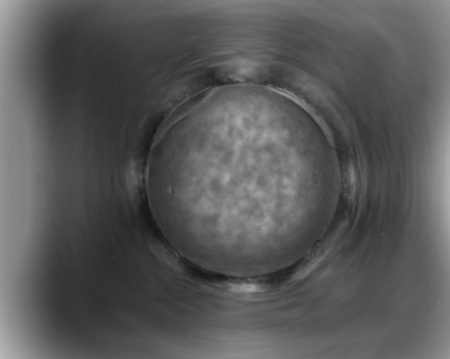 X0000088750284200706071726