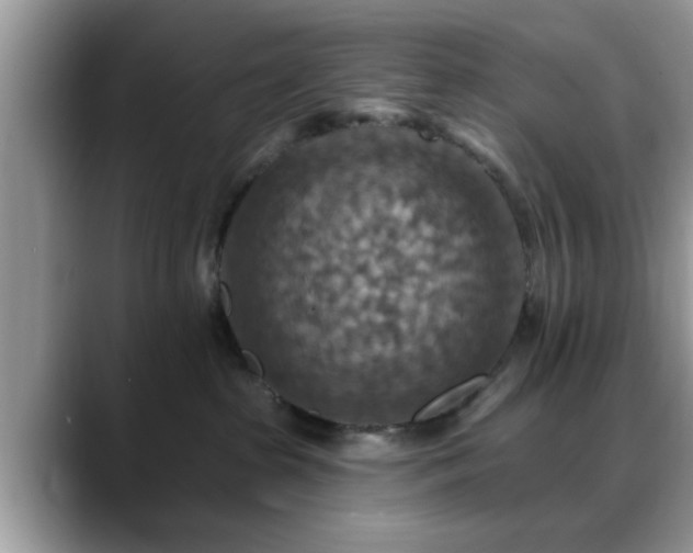 X0000088750285200706071726