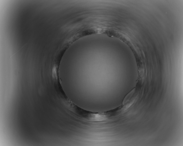 X0000088750286200706071726