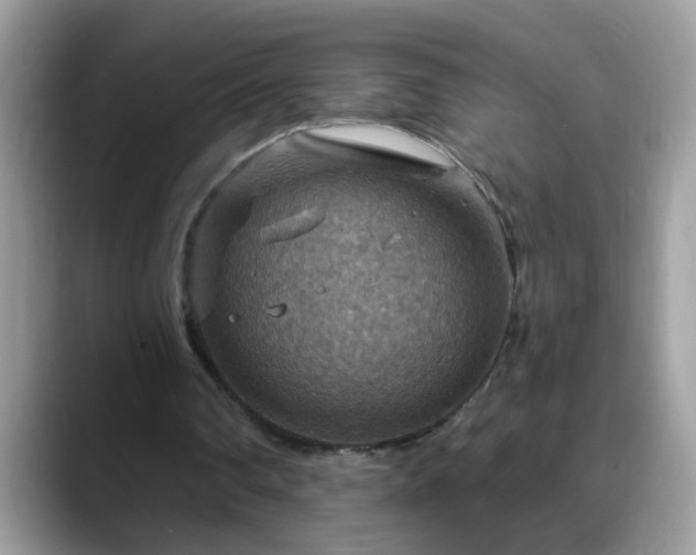 X0000088750290200706071726