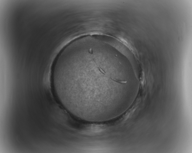 X0000088750292200706071726