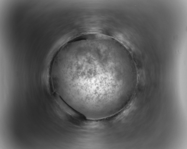 X0000088750293200706071726
