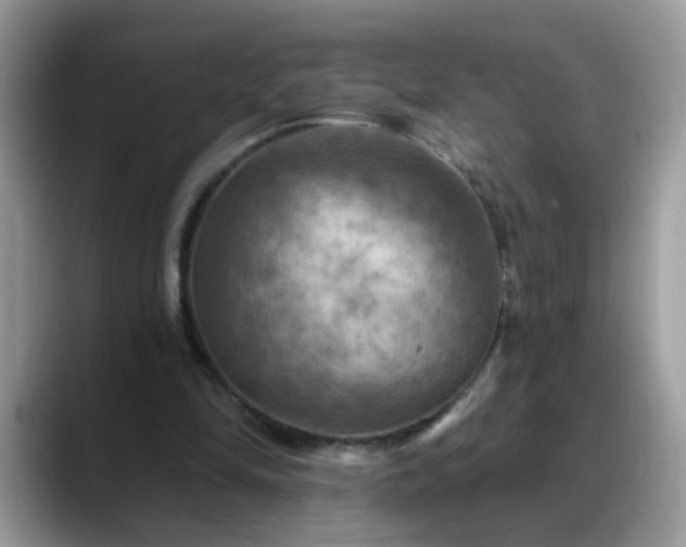 X0000088750294200706071726