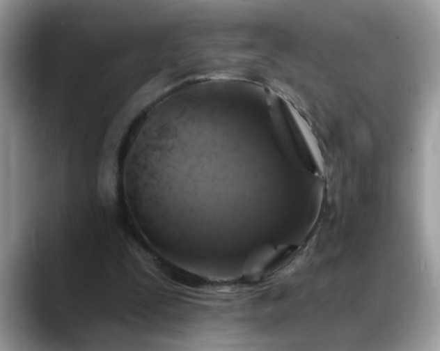 X0000088750295200706071726