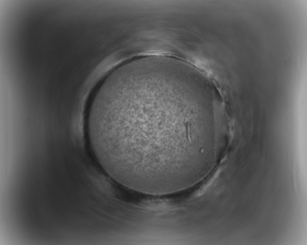 X0000088750296200706071726