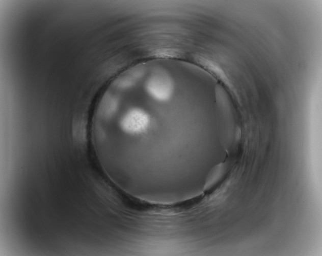 X0000088750299200706071726