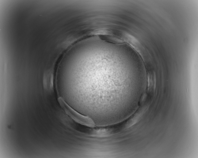 X0000088750301200706071726