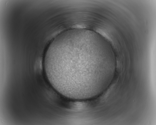 X0000088750302200706071726
