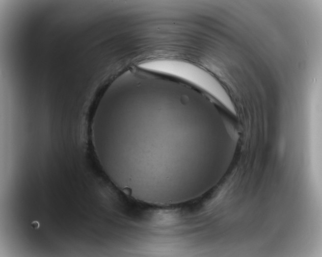 X0000088750303200706071726