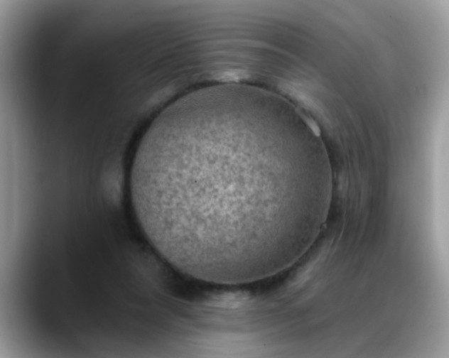 X0000088750304200706071726