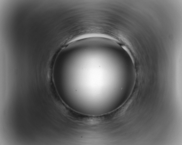 X0000088750305200706071726