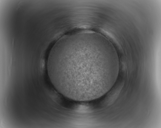 X0000088750308200706071725