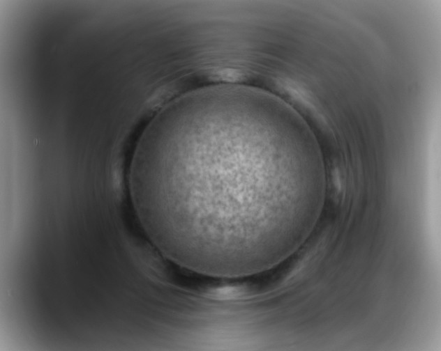 X0000088750312200706071725