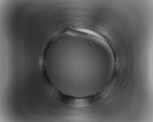 X0000088750314200706071725