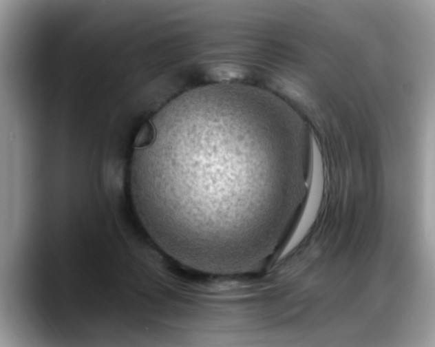 X0000088750315200706071725