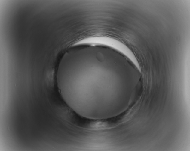 X0000088750319200706071725
