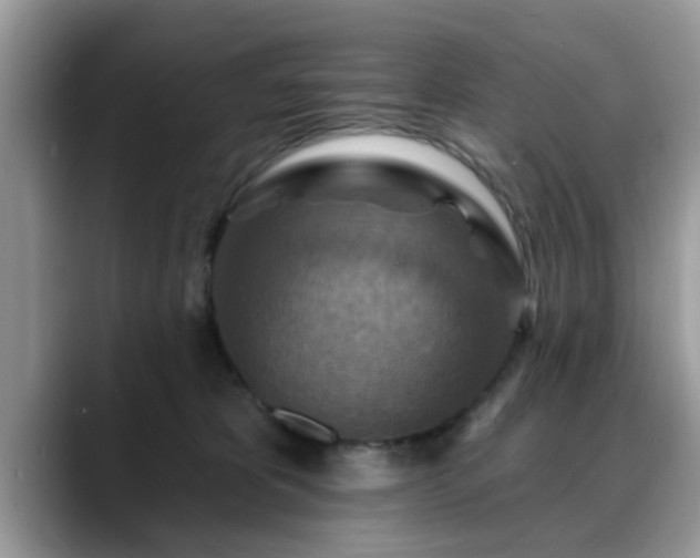X0000088750325200706071725
