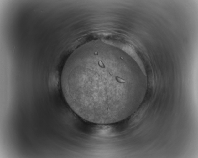 X0000088750328200706071725