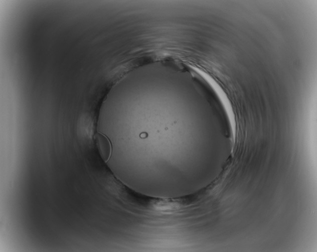 X0000088750331200706071725