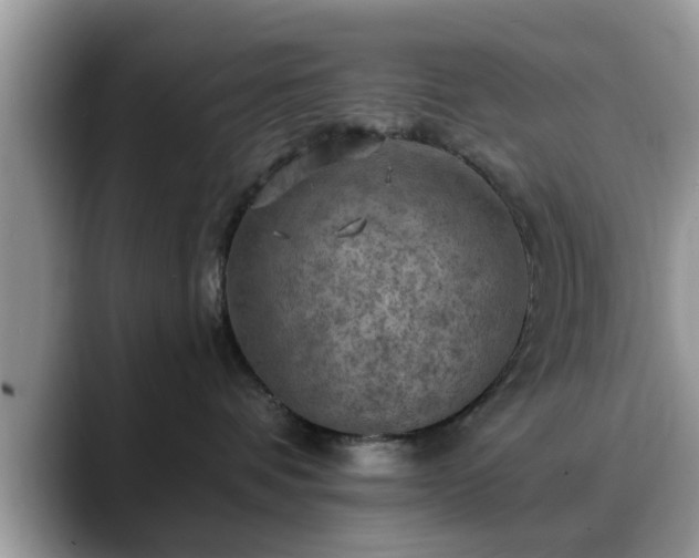 X0000088750336200706071725