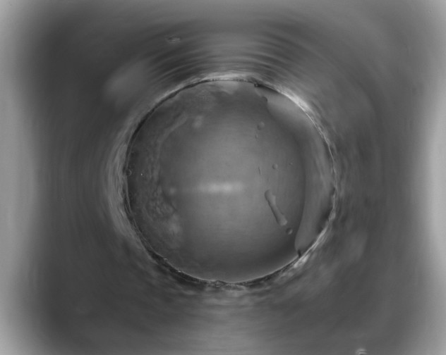 X0000088750337200706071724