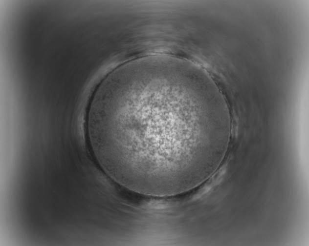 X0000088750341200706071725