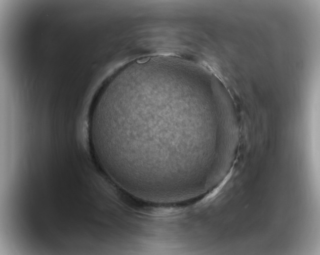 X0000088750342200706071725